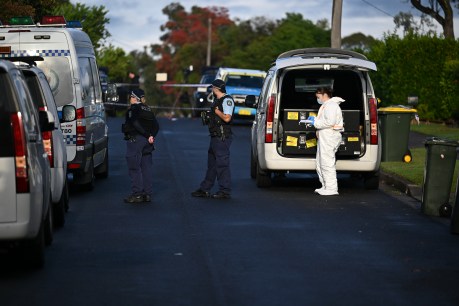 Man accused of wife, sons' murder faces court