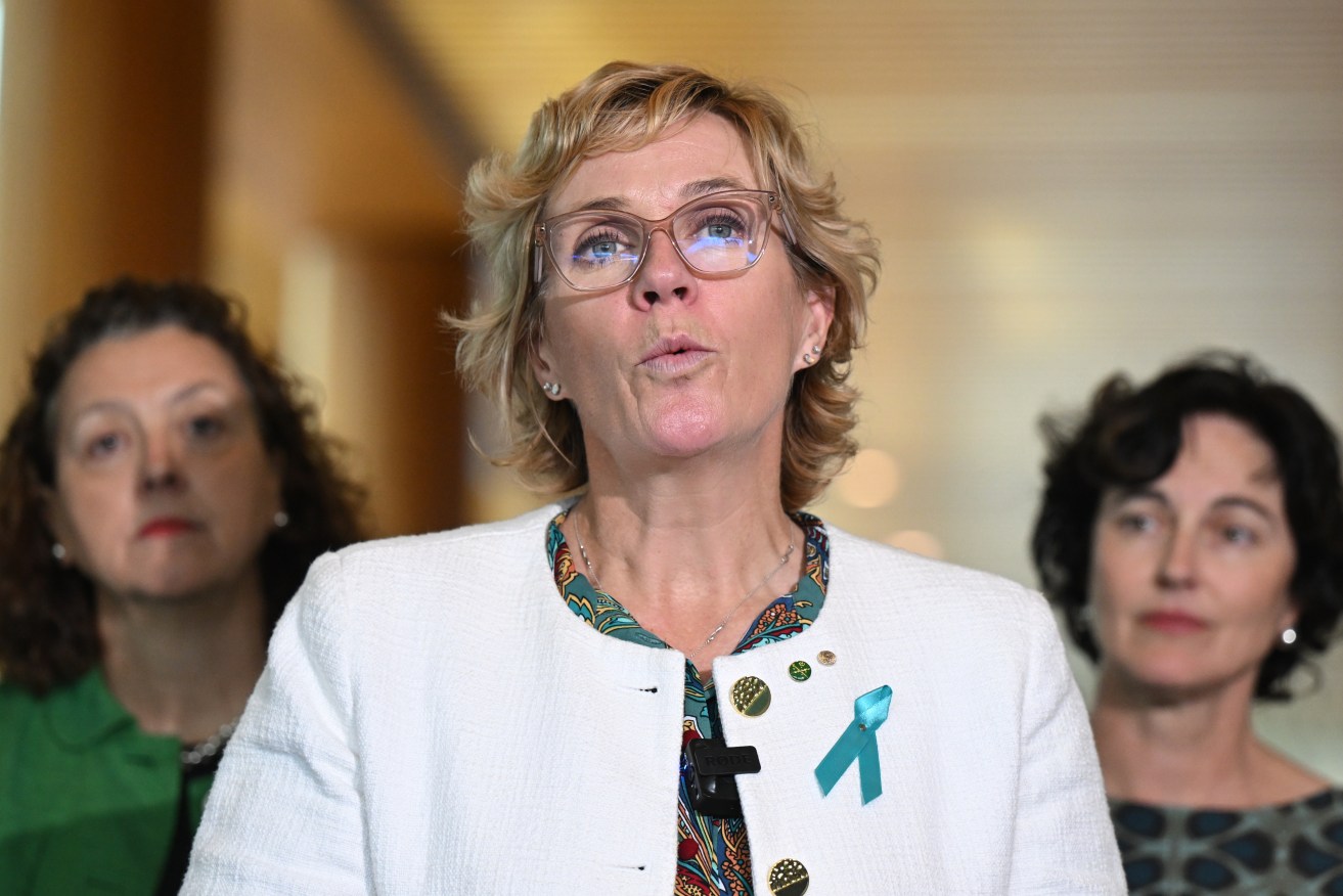 Teal MP Zali Steggall is reportedly leading talks to form a new political party.