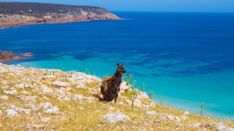 hikes australia