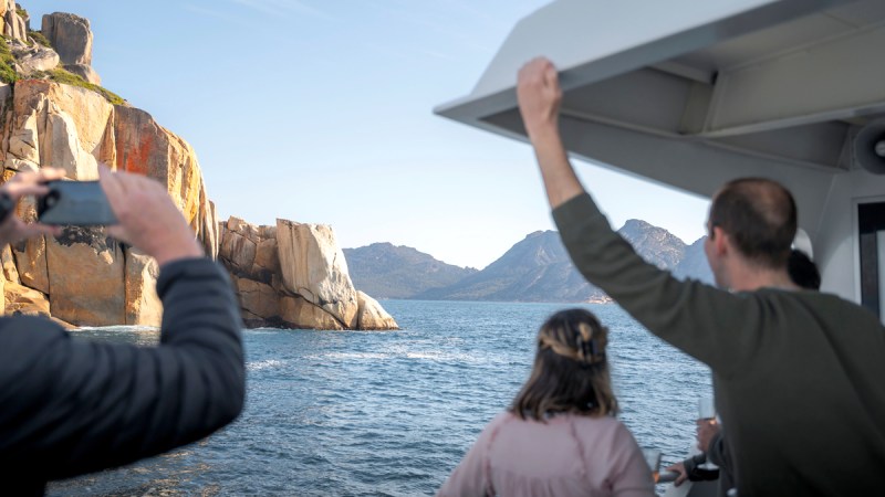 whale watching