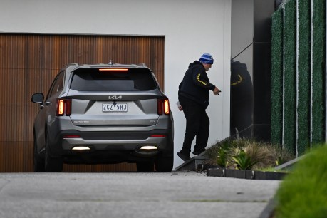 ‘Load of crap’: Underworld figure jokes after arrest