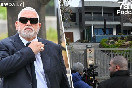 Mick Gatto and gangland links to construction crime