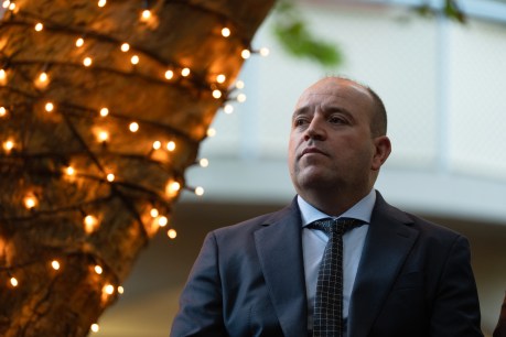 Hero of Bondi attack charged with assault