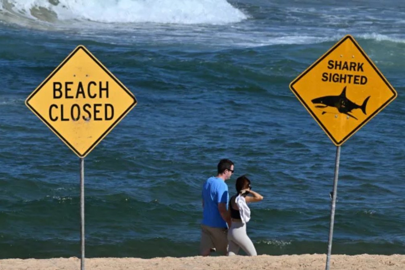 The fatal shark attack is the third in the region in the past four weeks.