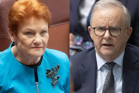 PM's blast after $2m 'fire the liar' lift for Hanson