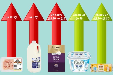 Shoppers slugged as prices of grocery staples soar
