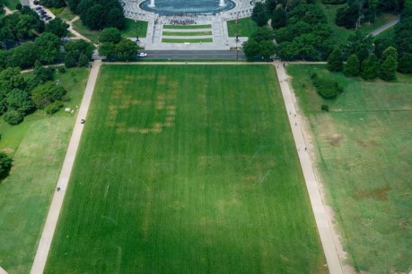 Giant 8647 appears on Washington landmark