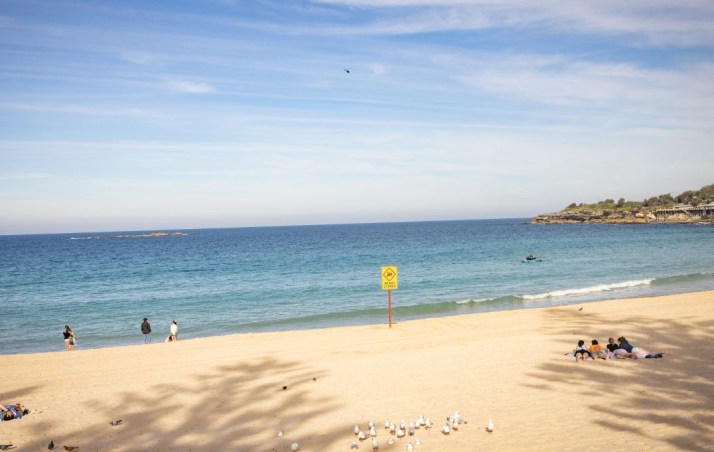 Woman critical after Coogee shark mauling