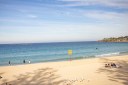 Woman critical after Coogee shark mauling