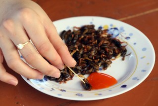 Turns out, you might enjoy eating insects
