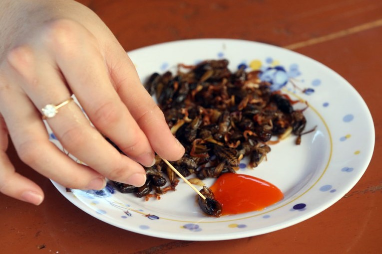Turns out, you might enjoy eating insects
