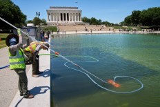 Olympian charged over reflecting pool 'vandalism'