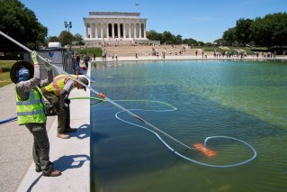 Trump's 'American flag blue' pool turns green