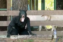 Japan's bizarre bear drills aim to curb fatal attacks