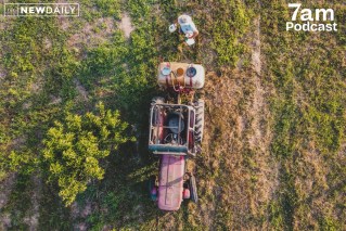 Ban mulled for weedkiller farmers say made them ill