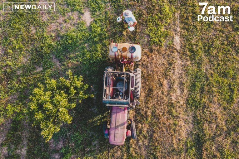 Ban mulled for weedkiller farmers say made them ill