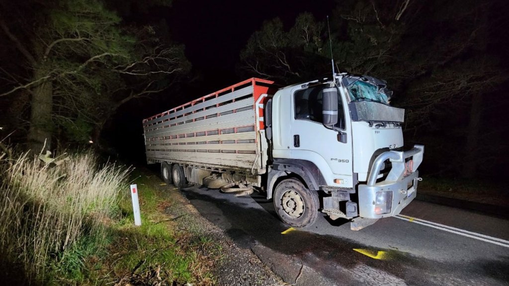 Tony Modra truck accident