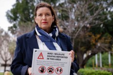 Bird flu poses ‘serious concern’ for wildlife