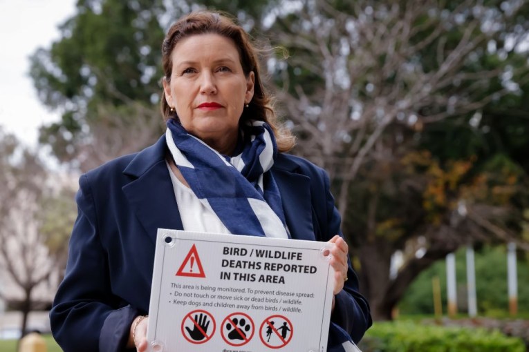 Bird flu poses ‘serious concern’ for wildlife