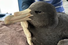 Bird flu outbreak spreads to second state
