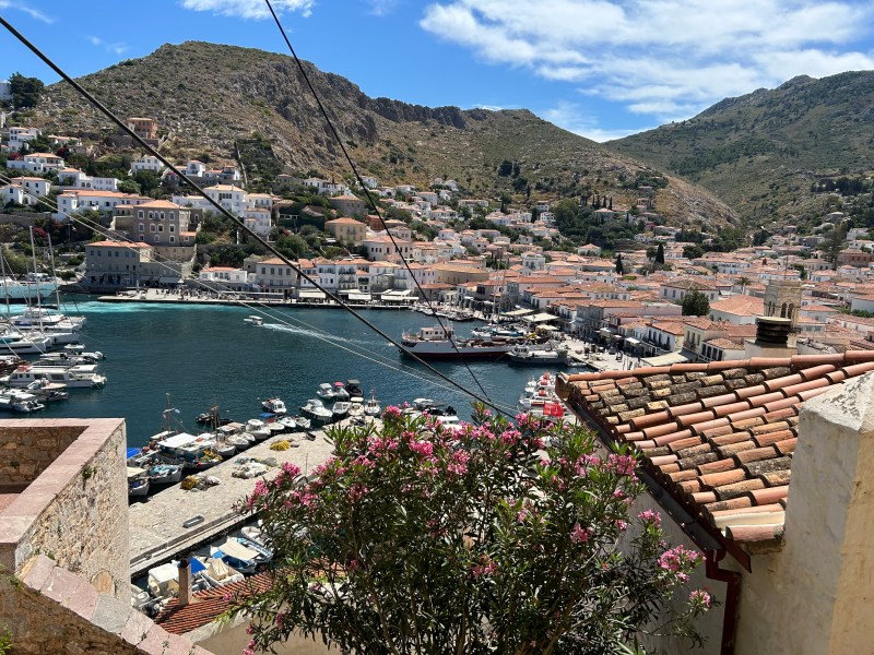 hydra