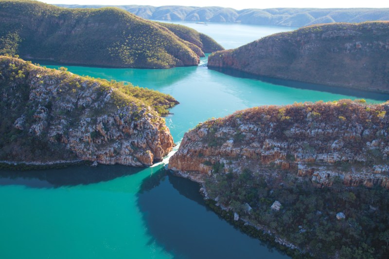 bizarre australia
