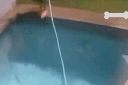 ‘RIP to my ribs’: Ruby Rose's pool fall