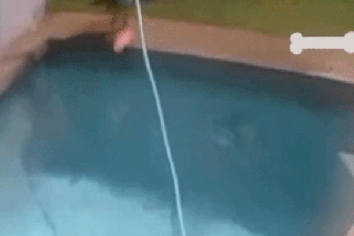 ‘RIP to my ribs’: Ruby Rose's pool fall