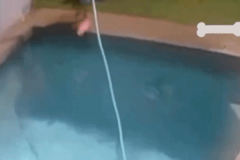‘RIP to my ribs’: Ruby Rose's pool fall