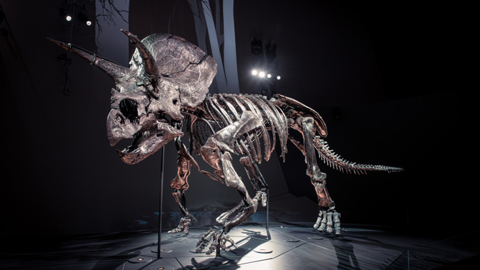 dinosaur