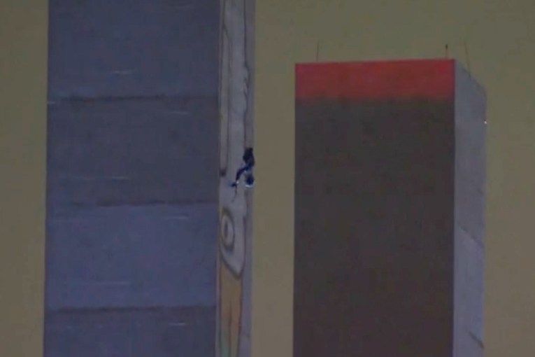 Pam the Bird vandal in major bridge standoff