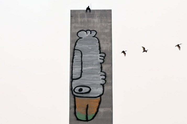 Petition launched to keep Pam the Bird graffiti