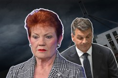 ‘Eternity of pain’: Taylor's One Nation warning
