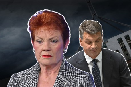 ‘Eternity of pain’: Taylor's One Nation warning