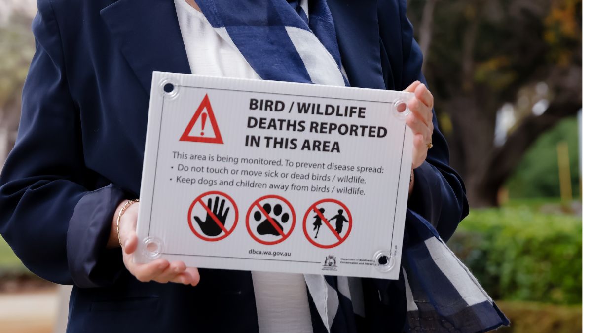 Bird flu sign
