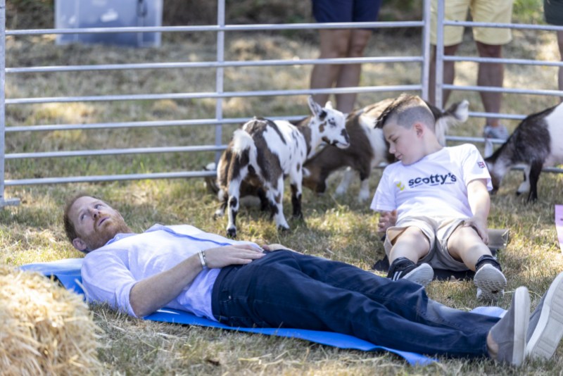 prince harry goat