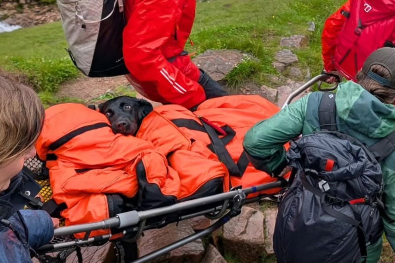 Tokyo is stretchered off Ben Nevis after her near-death encounter.