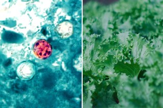 ‘Explosive diarrhoea’ outbreak spreads across US