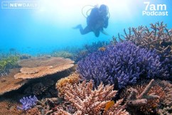 Bandt on the first big test for Labor’s nature laws