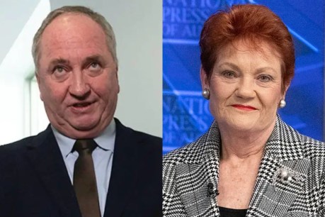 Joyce backs mass deportations amid Hanson flak