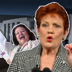 One Nation in strife with Qld watchdog