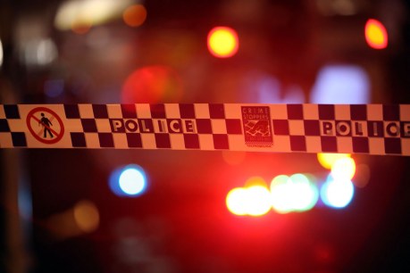 Man shot dead in Sydney home invasion