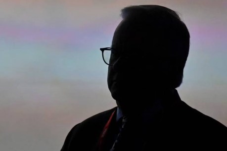 A reluctant Albanese is under pressure over telehealth for VAD