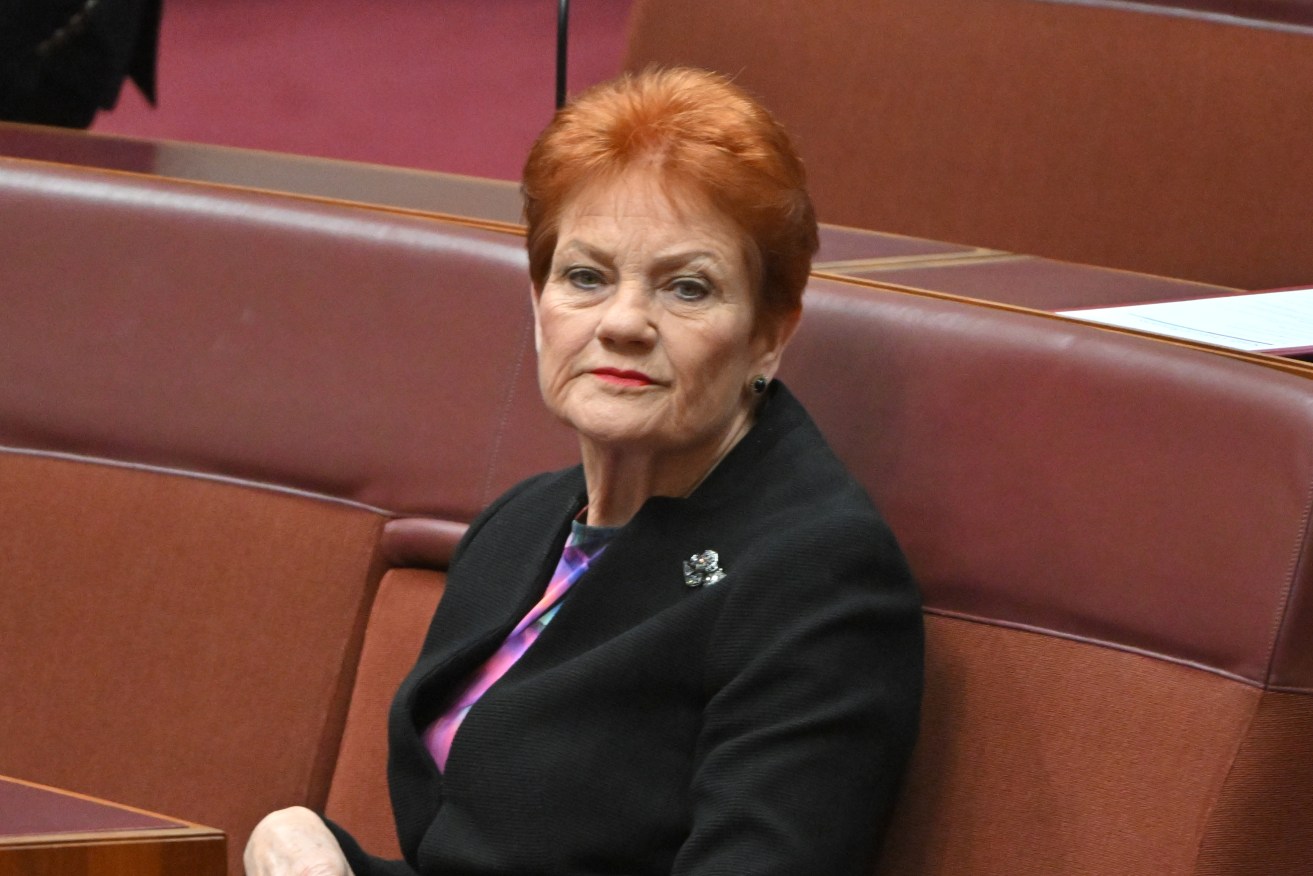 Pauline Hanson's One Nation leads in a Redbridge poll, followed by Labor and then the Coalition.