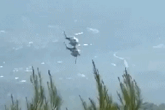 Helicopters collide while 'flying towards flames'