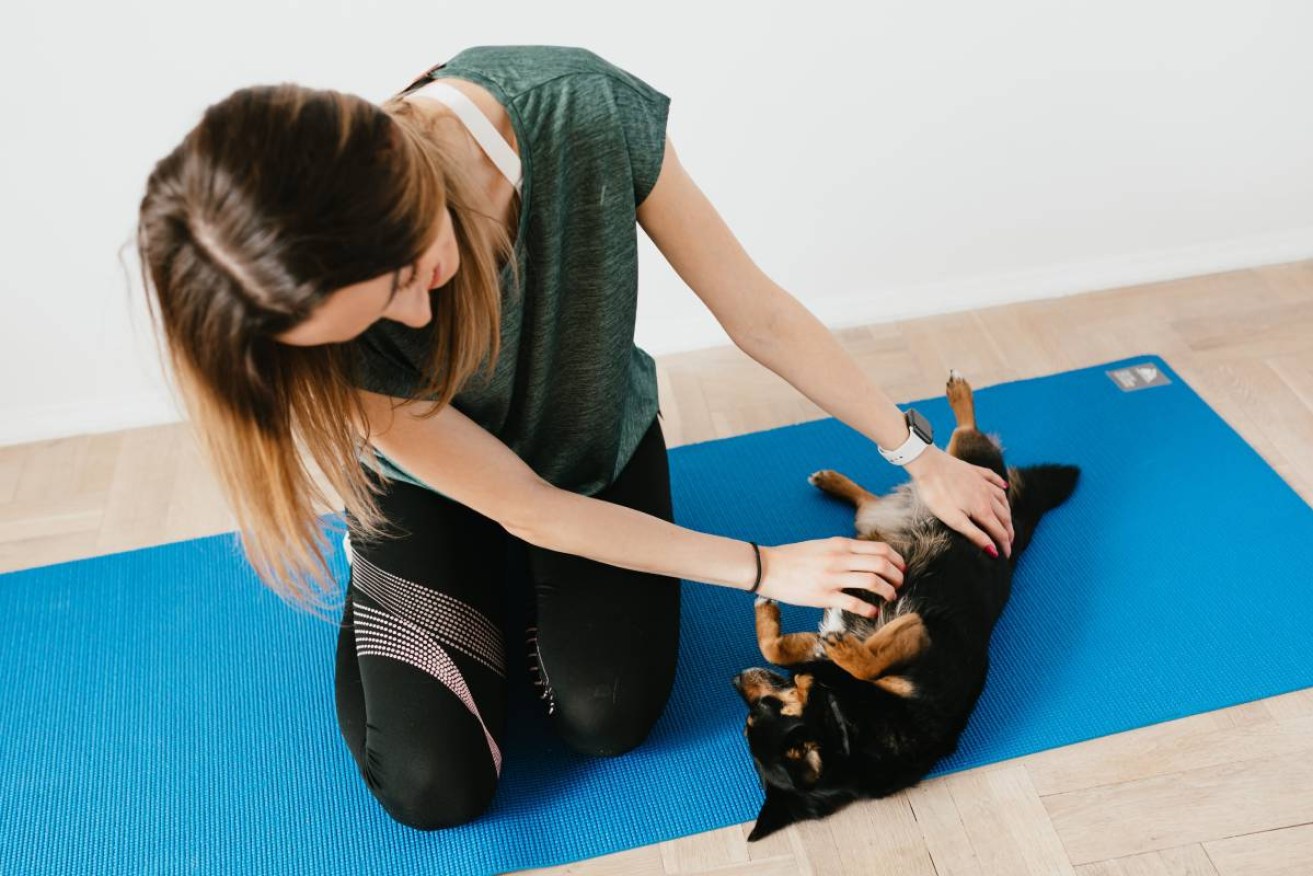 Pet wellness is mirroring the human wellness trend.