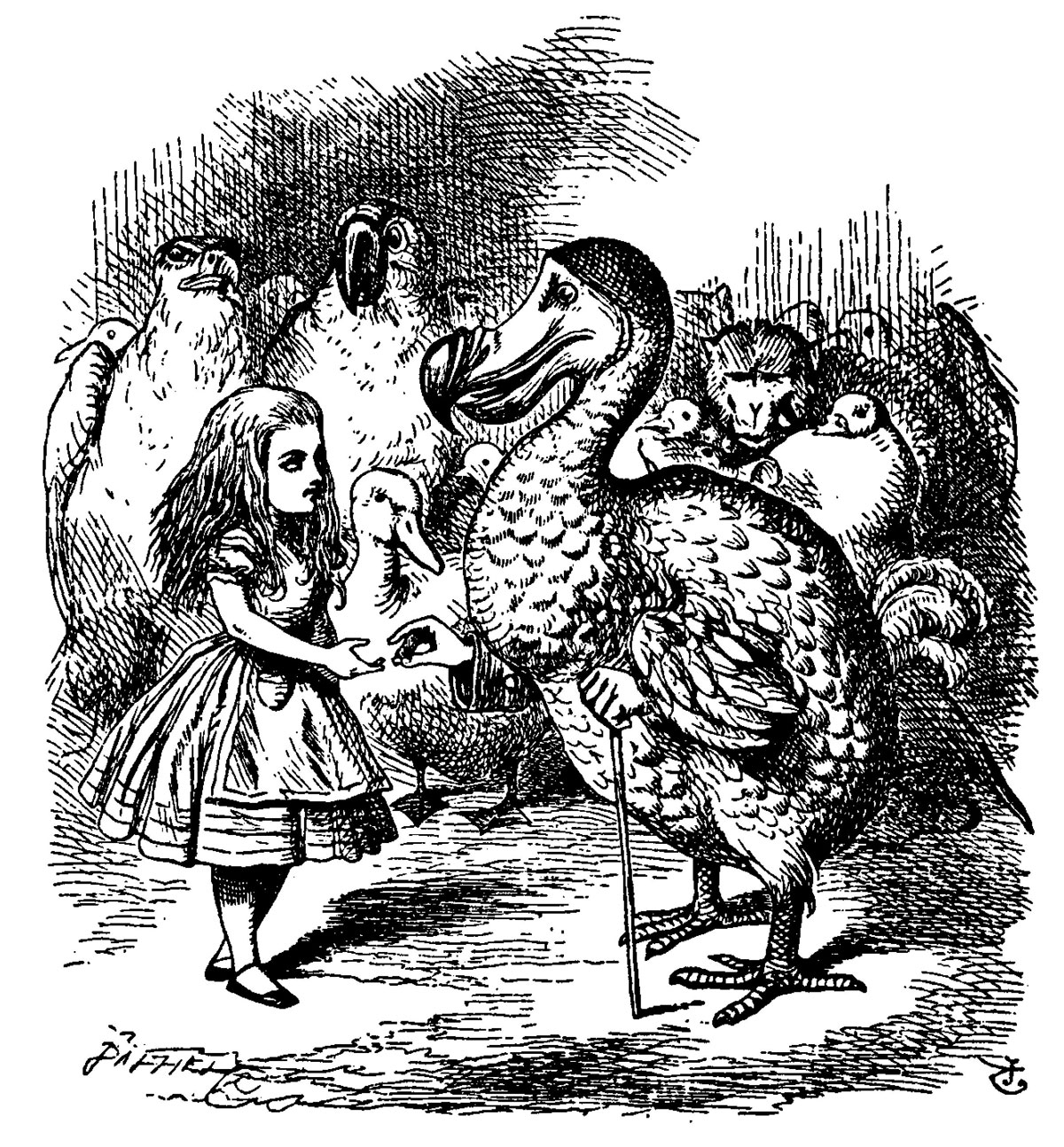 alice in wonderland dodo