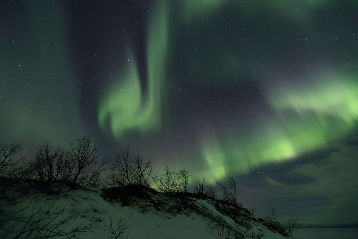 Northern Lights
