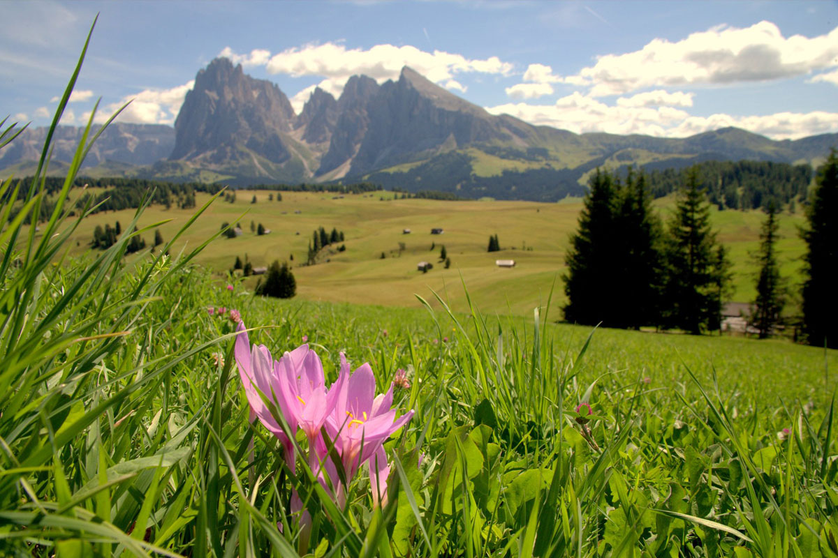 Dolomites