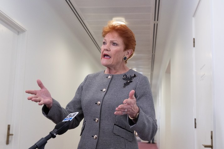 Hanson accuses Labor of inciting violence